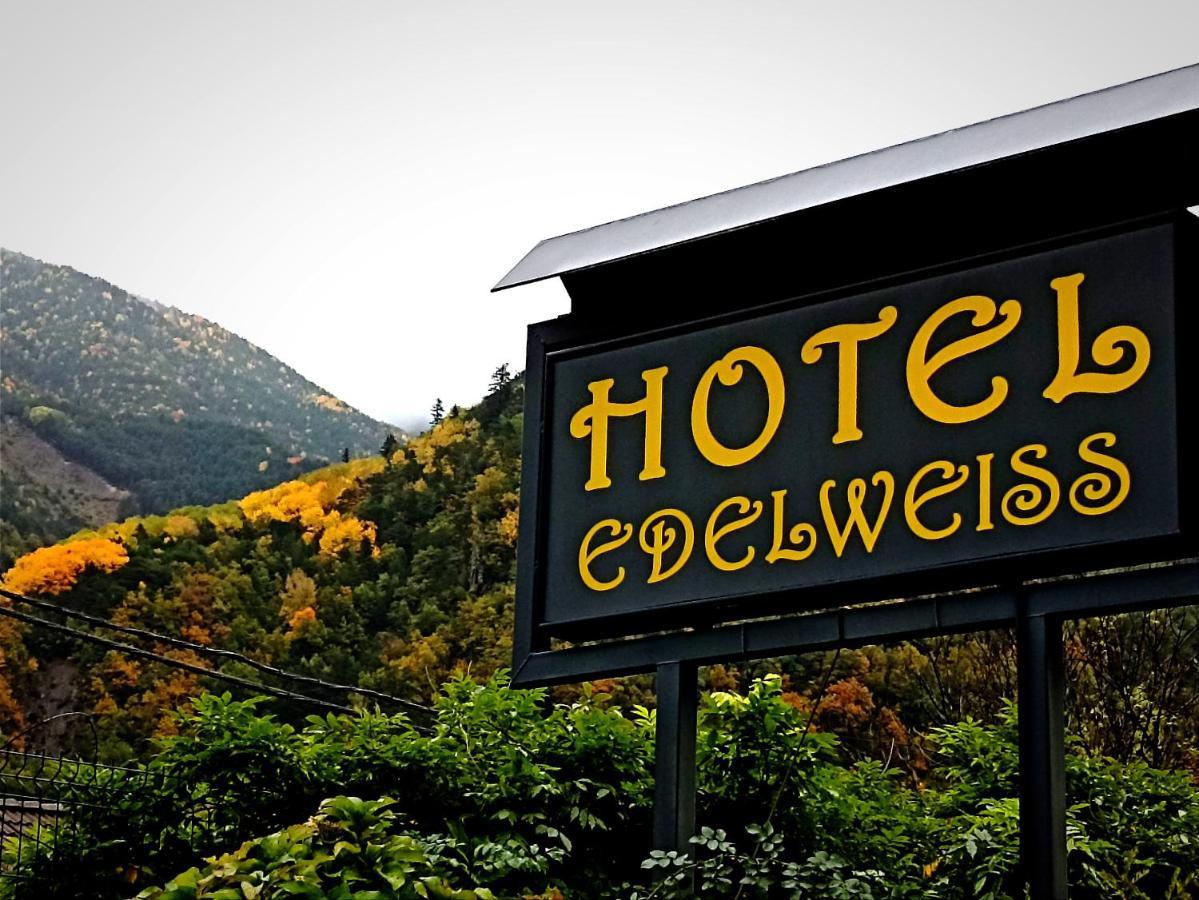 Edelweiss Hotel Торла Экстерьер фото